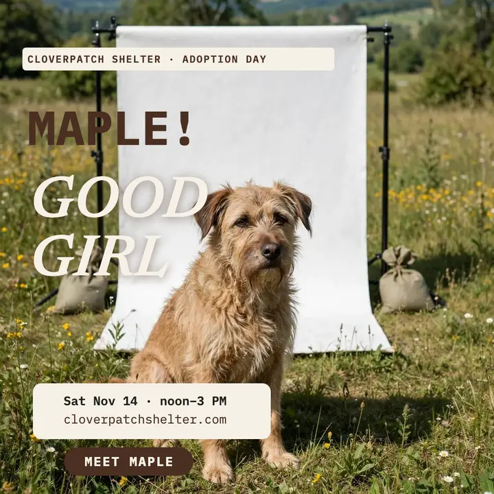 Cloverpatch Shelter meadow backdrop adoption post template