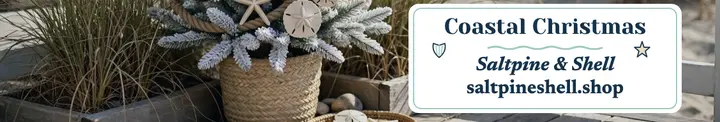 Saltpine Shell coastal Christmas cover: christmas linkedin cover template