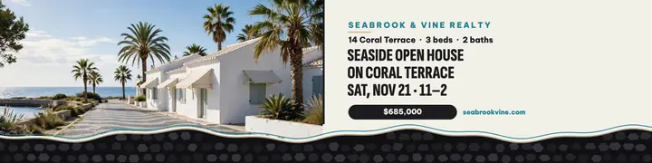 Seabrook and Vine seaside open house banner: coastal open house banner template