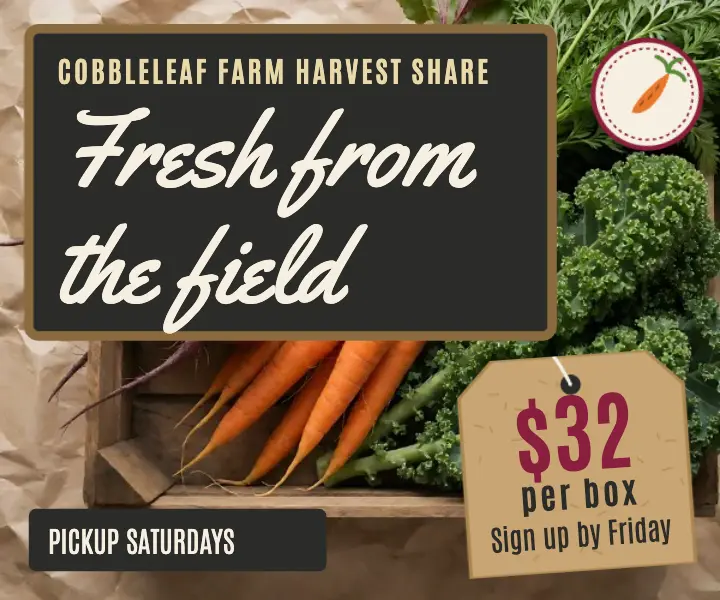 Cobbleleaf harvest share ad template