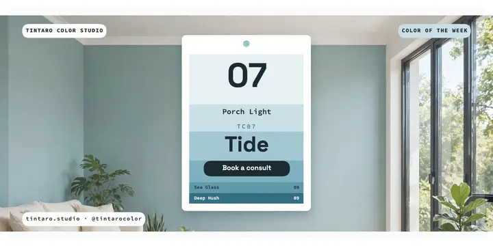 Tintaro color of the week consult promo template