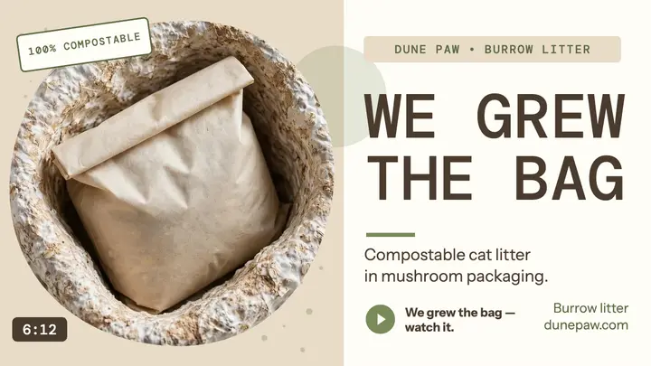 Dune Paw Burrow litter launch thumbnail template