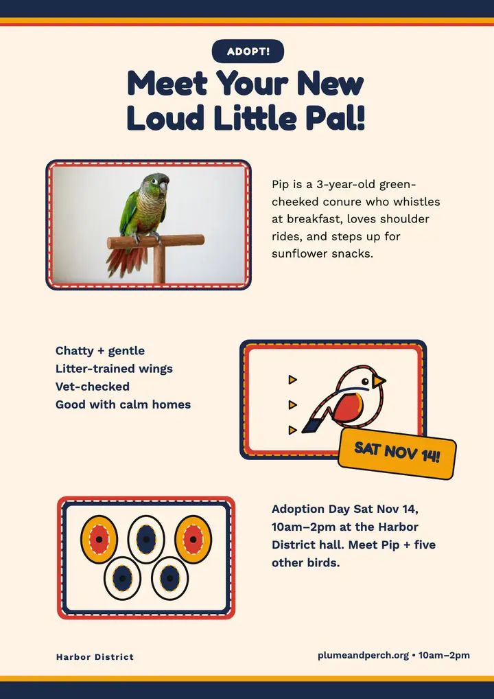 Plume and Perch parrot adoption flyer template