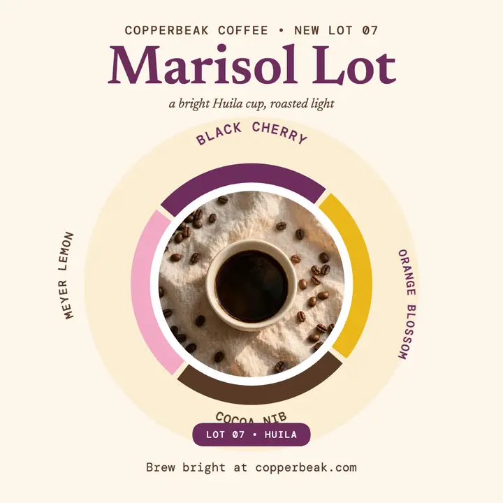 Copperbeak Marisol flavor wheel post template