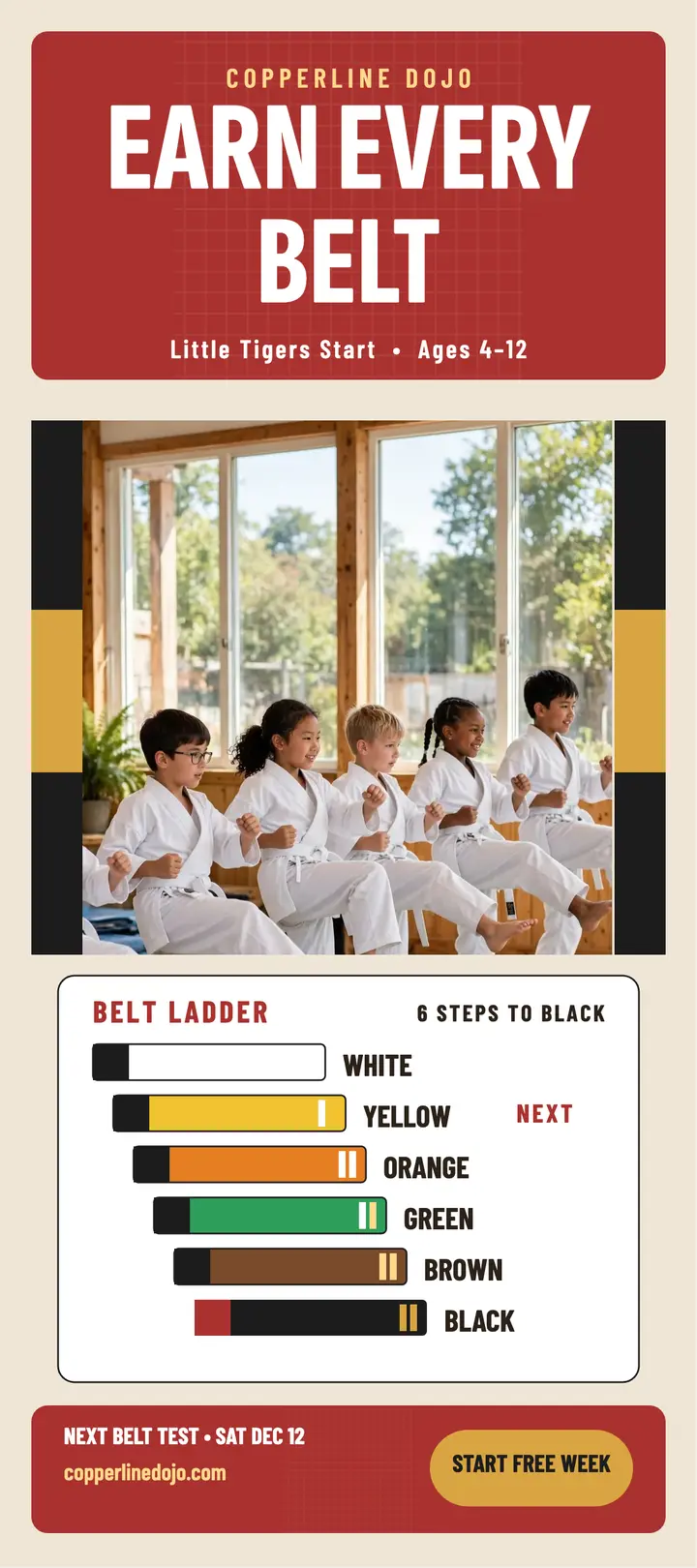 Copperline Dojo belt ladder card template