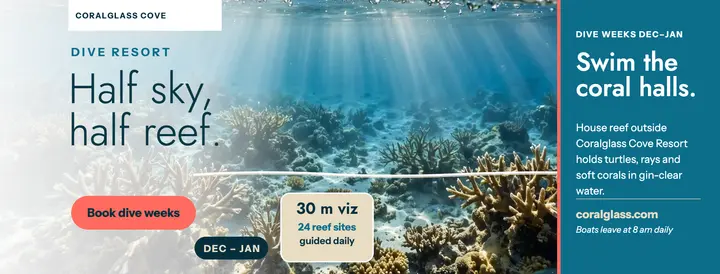 Coralglass Cove split reef cover template