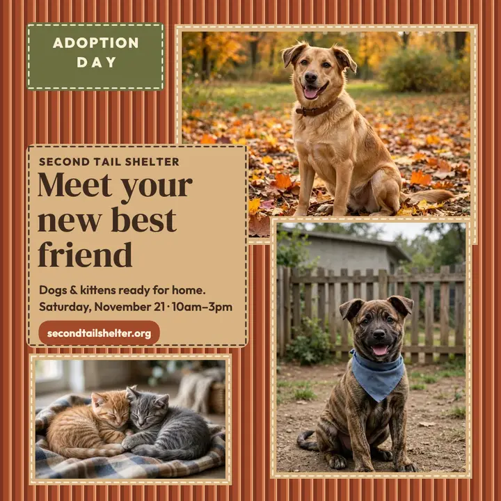 Second Tail Shelter adoption day post template