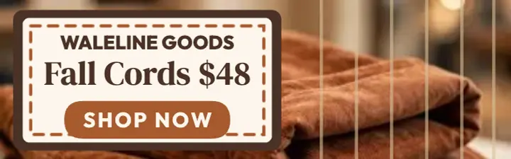 Waleline Goods fall cords sale banner template