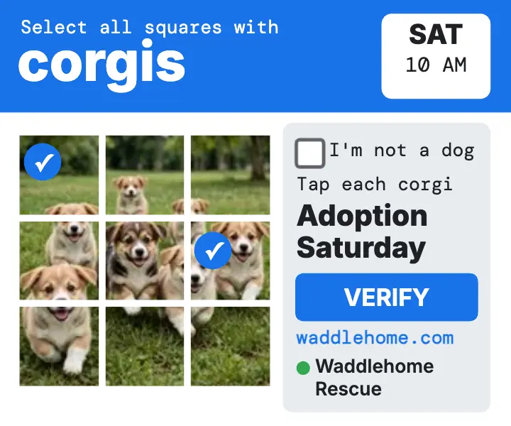 Waddlehome corgi captcha adoption ad template