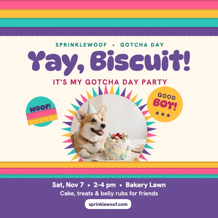 Biscuit gotcha day fringe post template