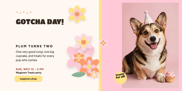 Plum the corgi gotcha day party post template
