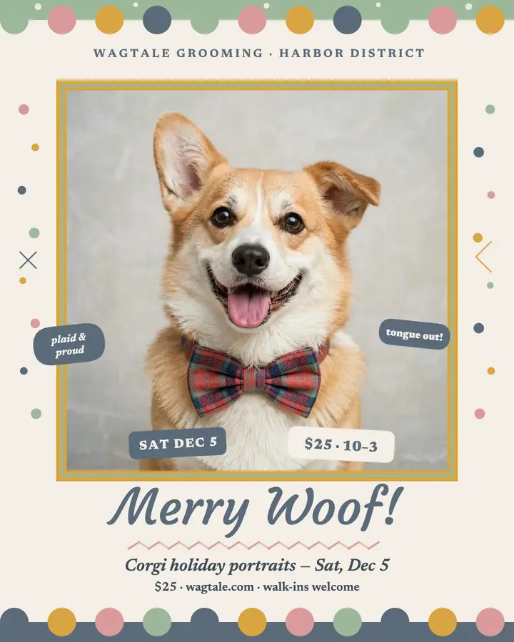 Wagtale corgi holiday portraits post template