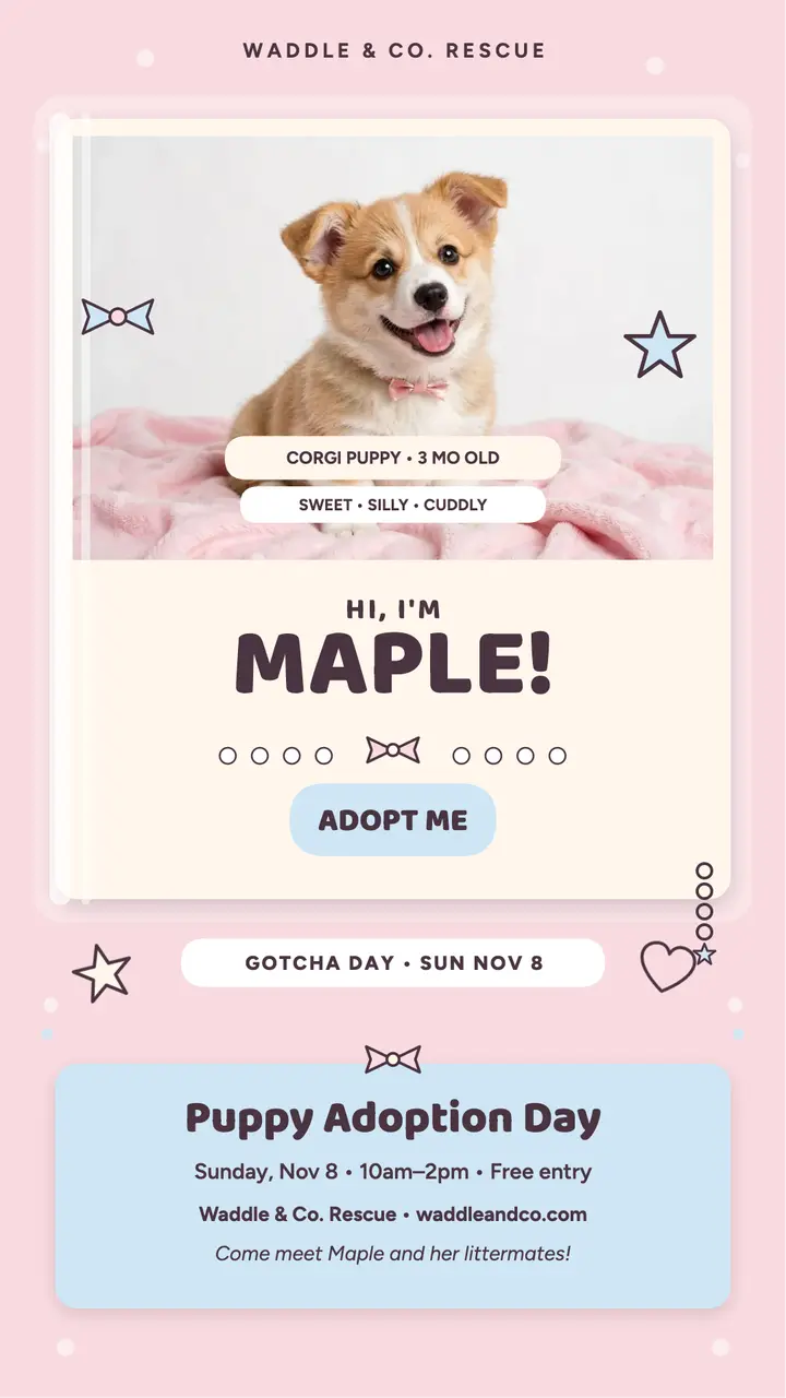 Maple the corgi adoption photocard story template