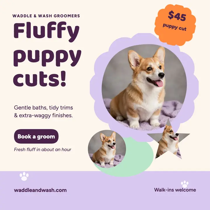 Waddle and Wash corgi groom post: pet groomer post template