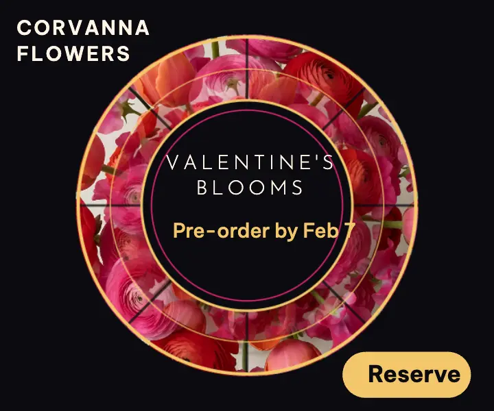 Corvanna Valentine's pre-order kaleidoscope ad template