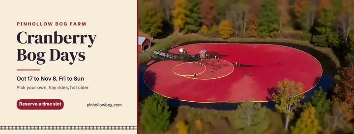Cranberry bog pick-your-own cover, tilt-shift miniature template