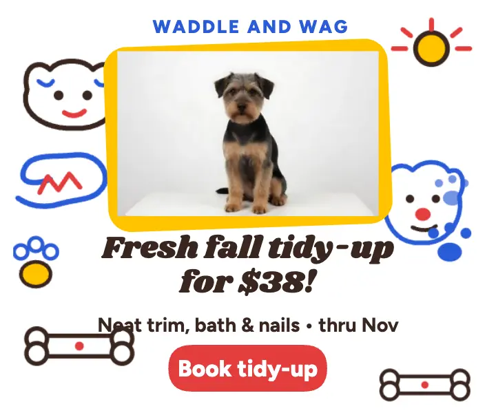 Waddle and Wag fall tidy-up crayon ad template