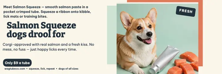 Wagtube Salmon Squeeze pet header template