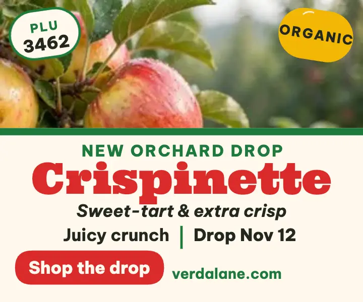 Crispinette apple drop orchard ad template