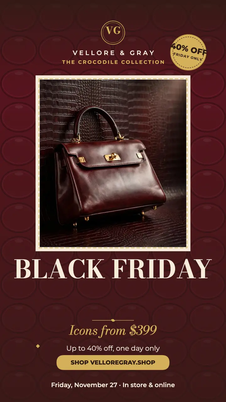 Vellore and Gray Black Friday story template