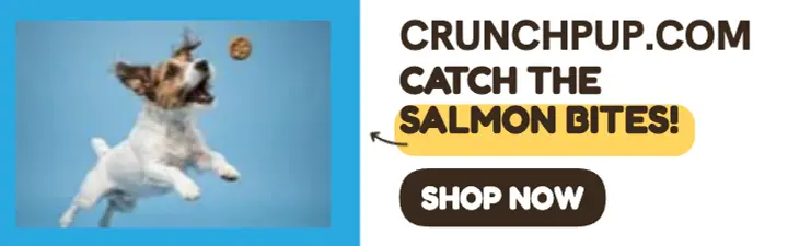Crunchpup salmon bites catch banner template