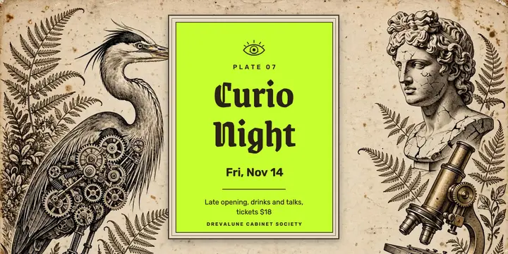 Curio Night after-hours museum evening post template