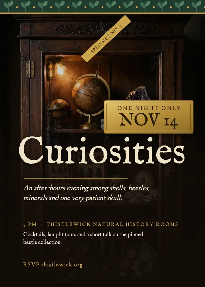 Thistlewick curiosities night invitation template