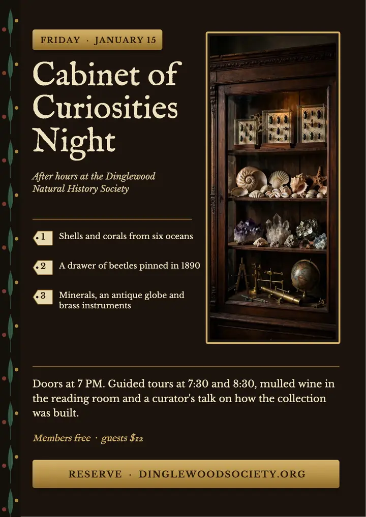Dinglewood cabinet of curiosities night flyer template