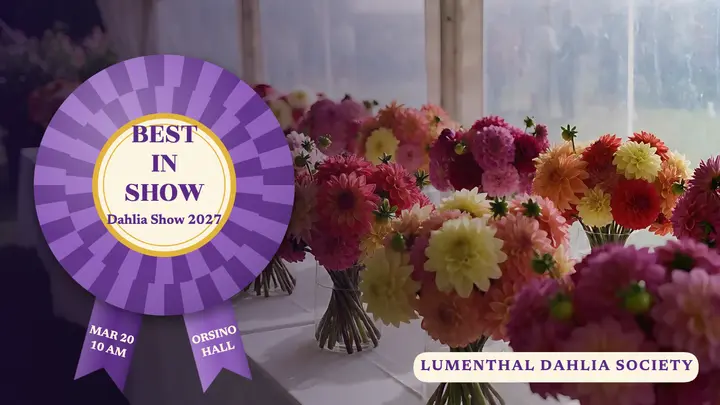 Lumenthal Dahlia Society best in show thumbnail template