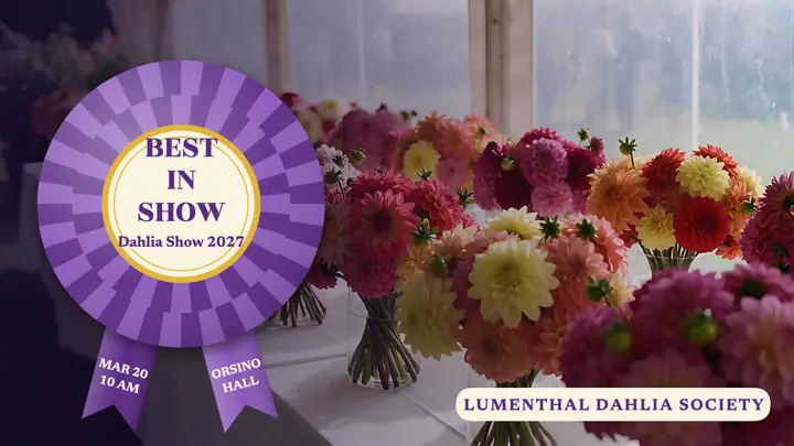 Lumenthal Dahlia Society best in show thumbnail template