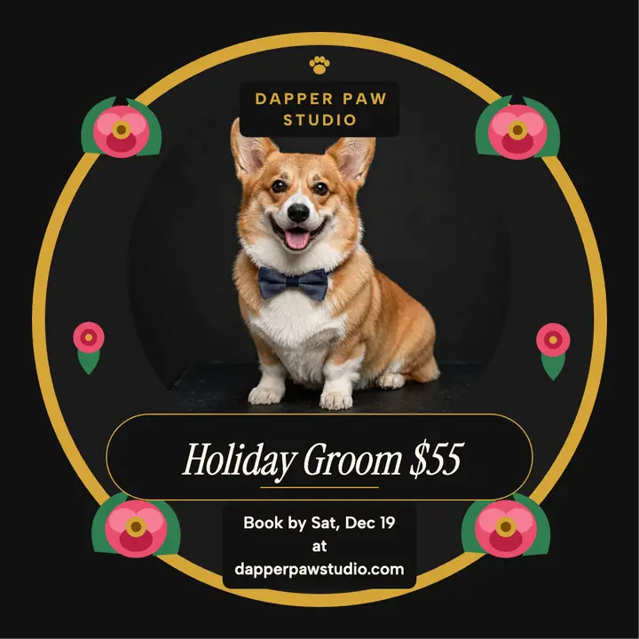 Dapper Paw holiday groom square post template