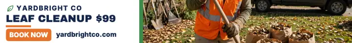 Yardbright fall leaf cleanup leaderboard: leaf cleanup ad template