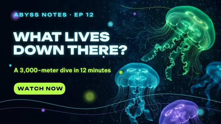 Abyss Notes deep sea thumbnail template
