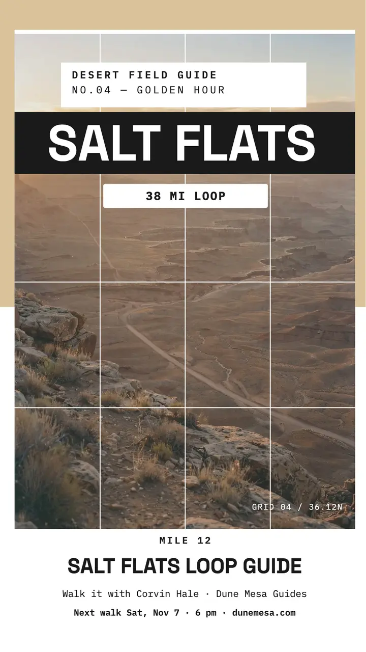 Salt Flats Loop desert overlook story template