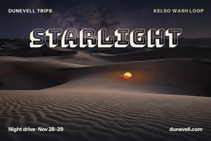 Desert night drive four-corner postcard: desert stargazing postcard template