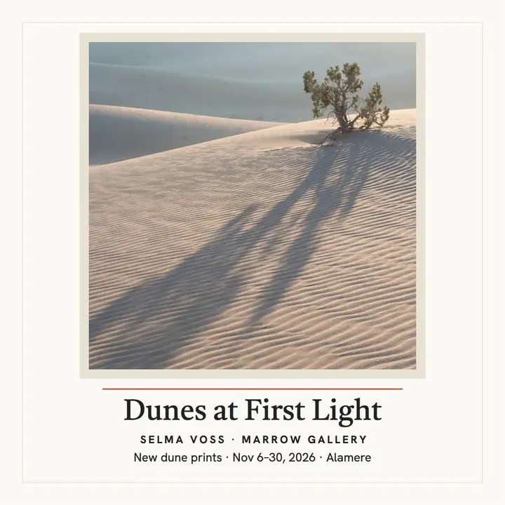 Selma Voss desert print exhibition post template