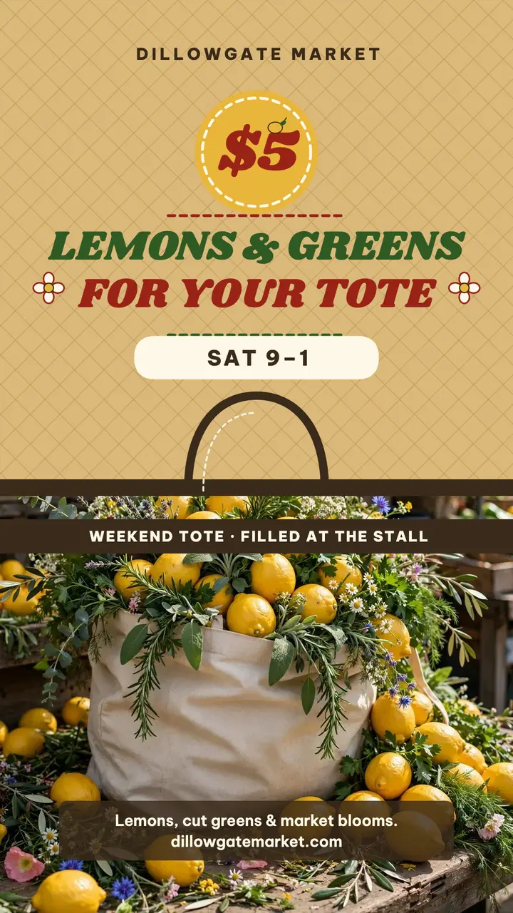 Dillowgate Market tote promo story template