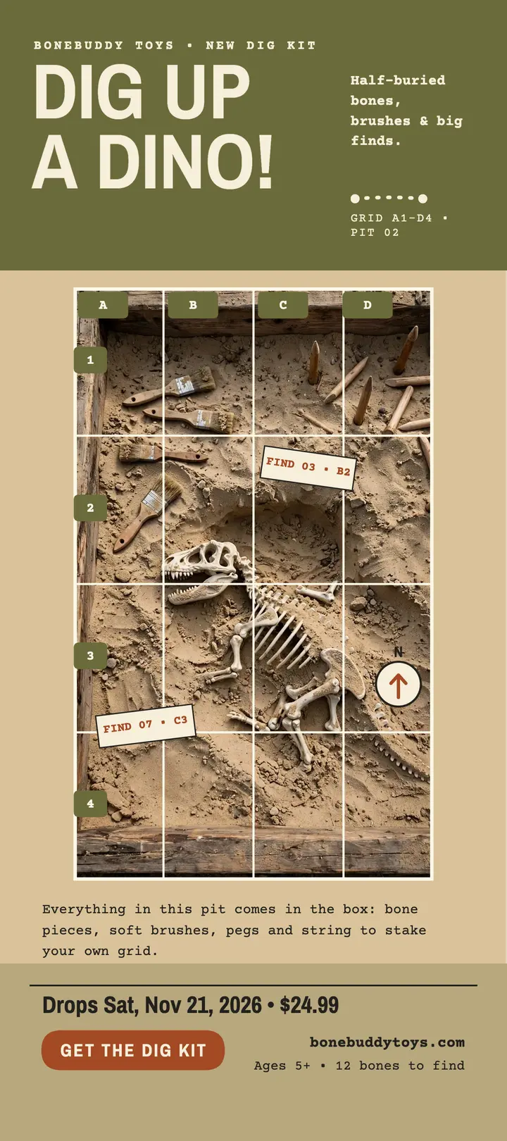 Bonebuddy dino dig launch rack card: dinosaur dig kit launch template