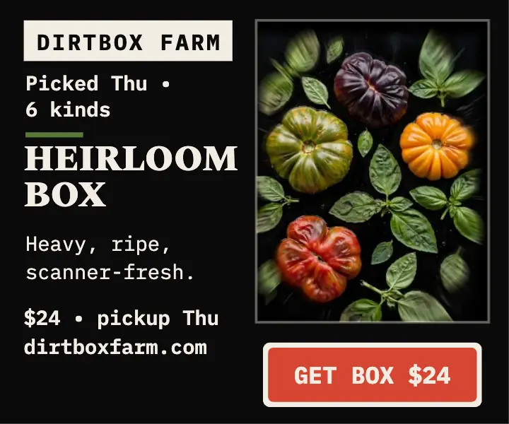 Dirtbox tomato scan box ad template