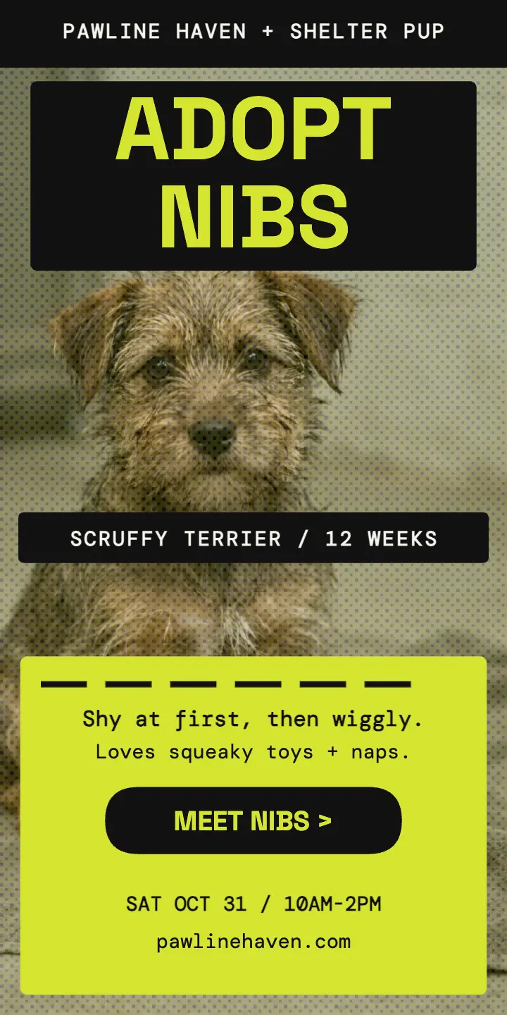 Nibs shelter puppy dithered adoption ad template