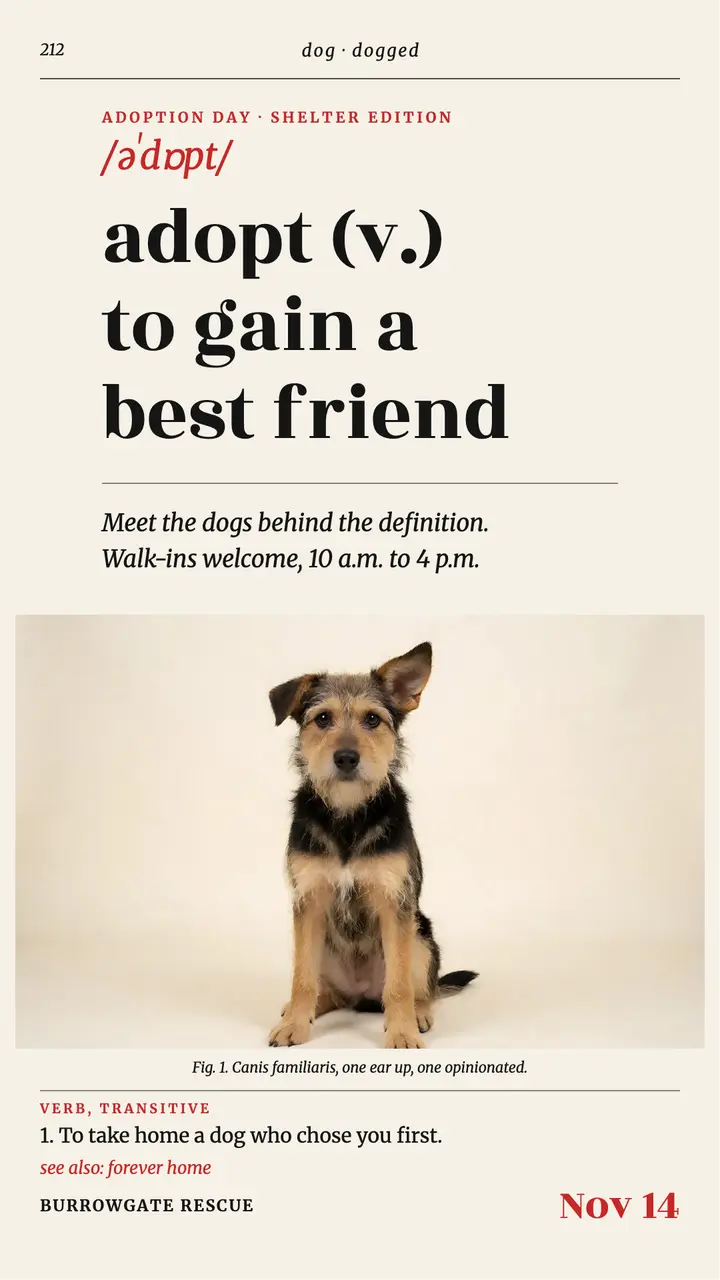 Burrowgate Rescue adoption day dictionary story template
