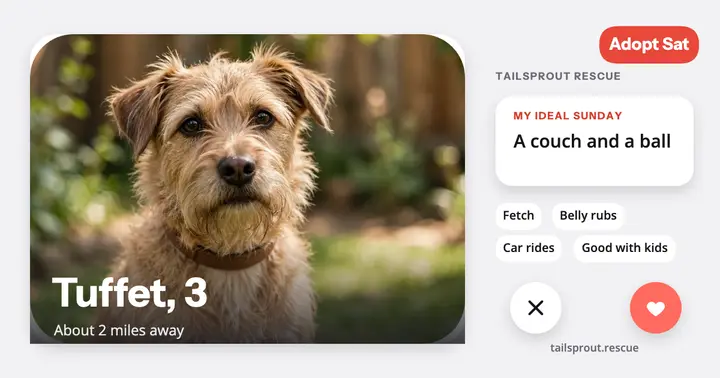 Dog adoption day post, profile card style template