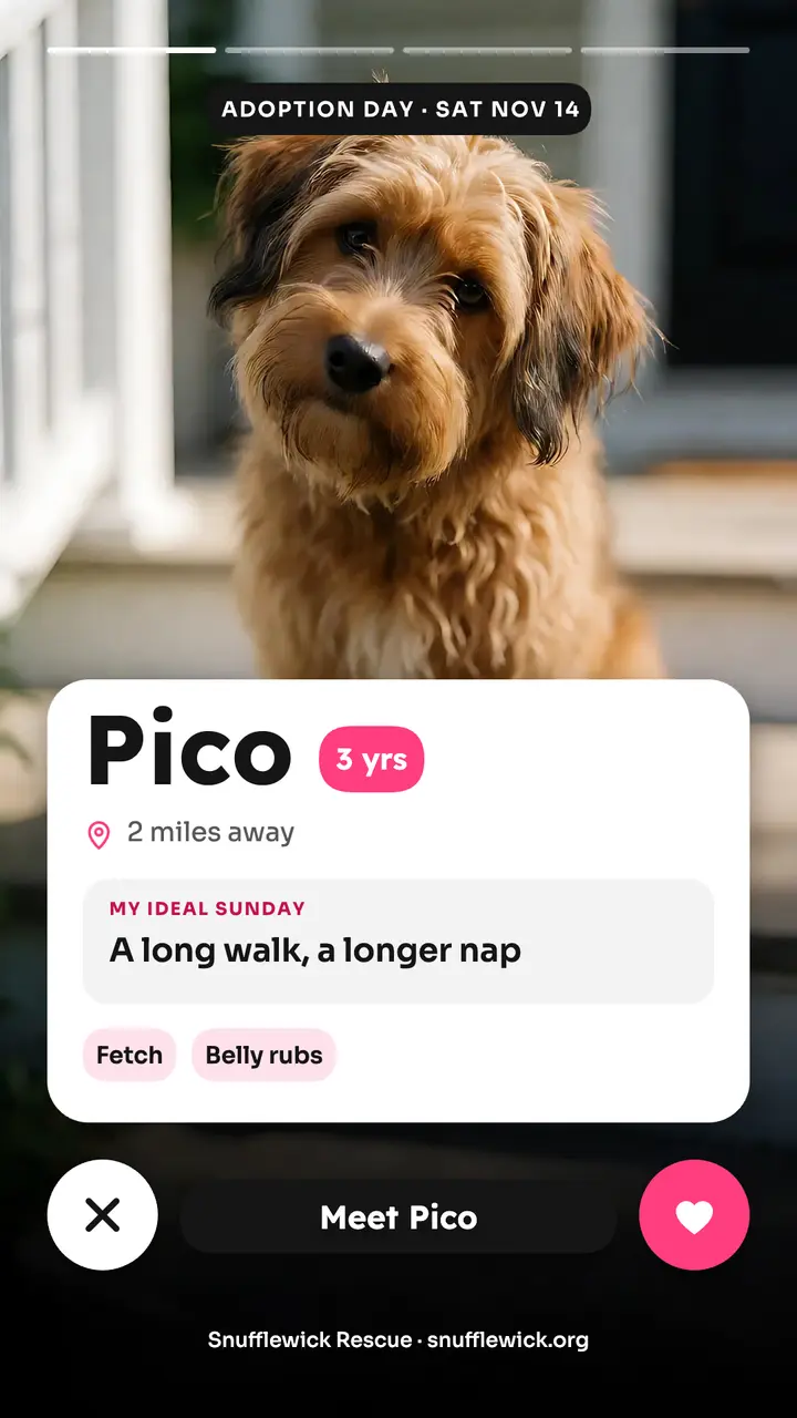 Snufflewick Rescue adoption day dating profile story template