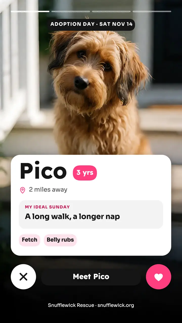 Snufflewick Rescue adoption day dating profile story template