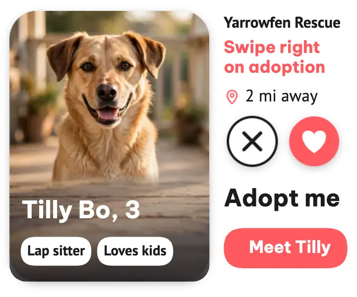 Yarrowfen Rescue adoption weekend dating profile ad template