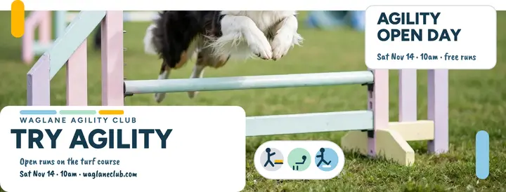 Waglane agility open day cover template