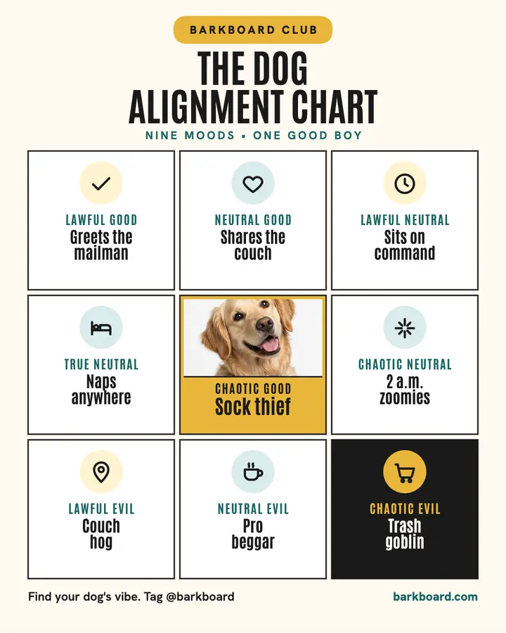 Barkboard dog alignment chart post: dog alignment meme template