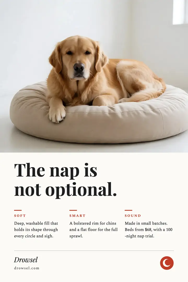 Drowsel dog bed sixties print ad poster template