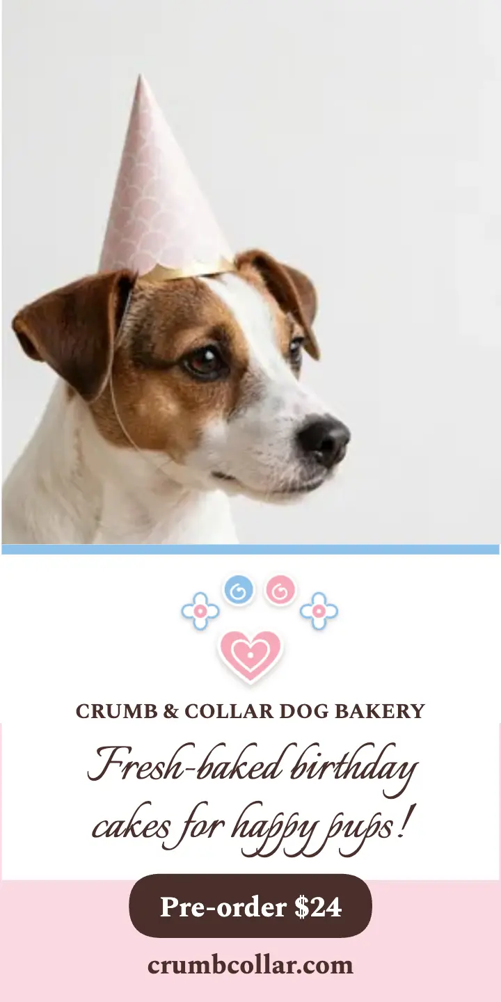 Crumb and Collar dog cake half page ad template