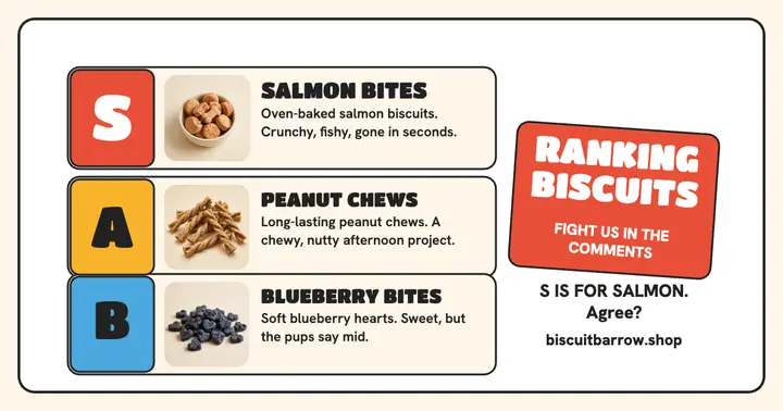 Biscuit Barrow dog biscuit tier list: dog treats ranking post template